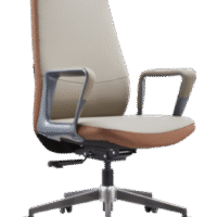 Mid Back Revolving Chair B-888